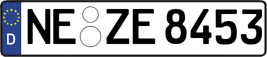 NE-ZE8453