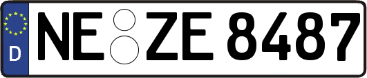 NE-ZE8487