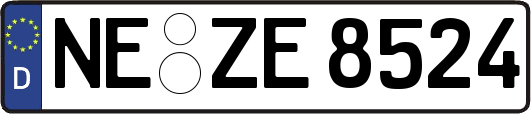NE-ZE8524