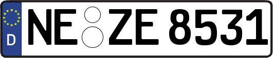 NE-ZE8531