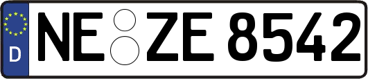 NE-ZE8542