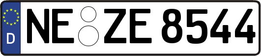 NE-ZE8544