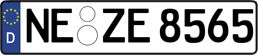 NE-ZE8565