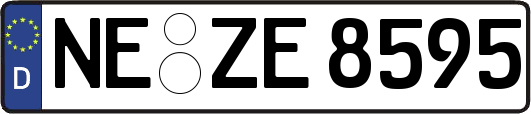 NE-ZE8595