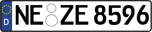 NE-ZE8596
