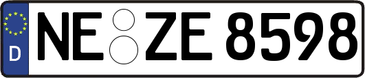 NE-ZE8598