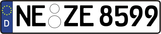 NE-ZE8599