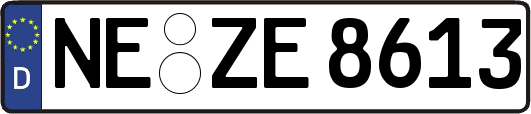 NE-ZE8613