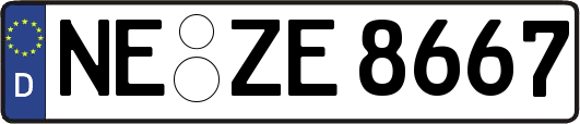 NE-ZE8667