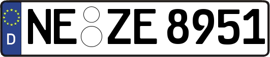 NE-ZE8951