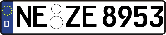 NE-ZE8953
