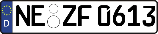 NE-ZF0613