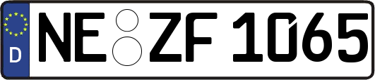 NE-ZF1065