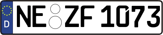 NE-ZF1073