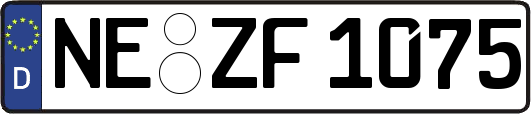 NE-ZF1075