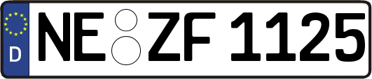 NE-ZF1125
