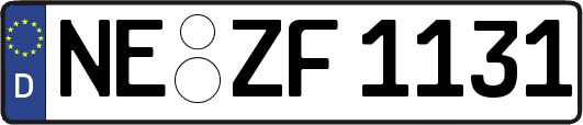 NE-ZF1131