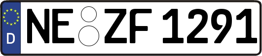 NE-ZF1291