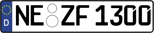NE-ZF1300