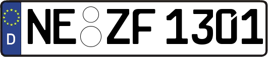 NE-ZF1301
