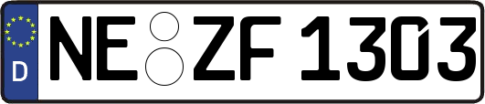 NE-ZF1303