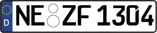 NE-ZF1304