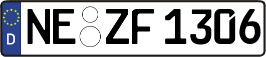 NE-ZF1306
