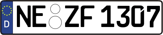 NE-ZF1307