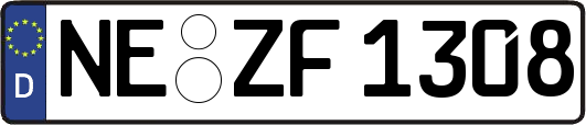 NE-ZF1308