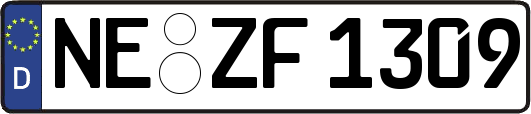 NE-ZF1309
