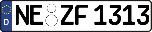 NE-ZF1313
