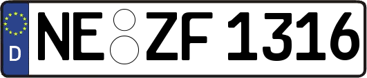 NE-ZF1316