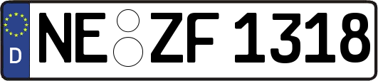 NE-ZF1318
