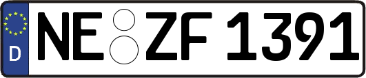 NE-ZF1391