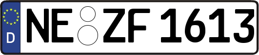 NE-ZF1613