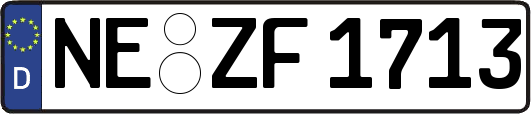 NE-ZF1713