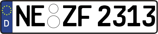 NE-ZF2313