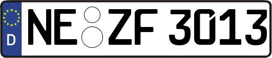 NE-ZF3013