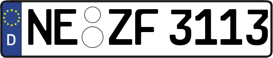 NE-ZF3113