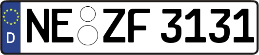 NE-ZF3131