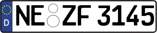 NE-ZF3145
