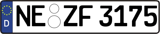 NE-ZF3175