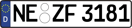 NE-ZF3181