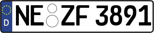 NE-ZF3891