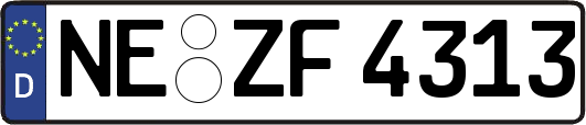 NE-ZF4313