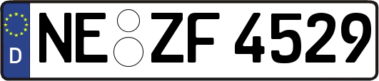 NE-ZF4529