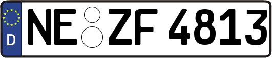 NE-ZF4813