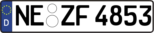 NE-ZF4853