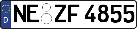 NE-ZF4855