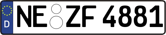 NE-ZF4881